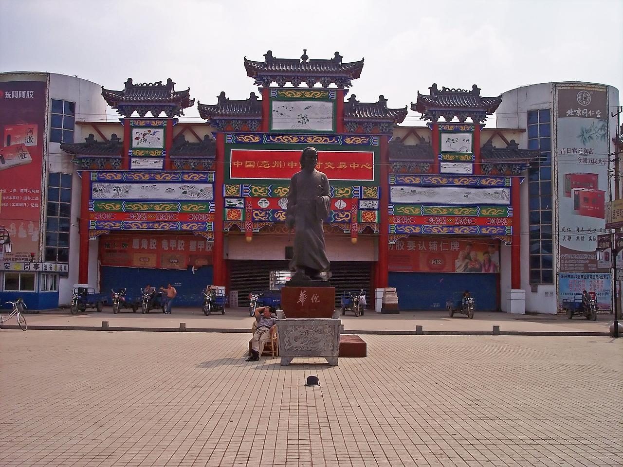 Chinese Traditional Medicine Market